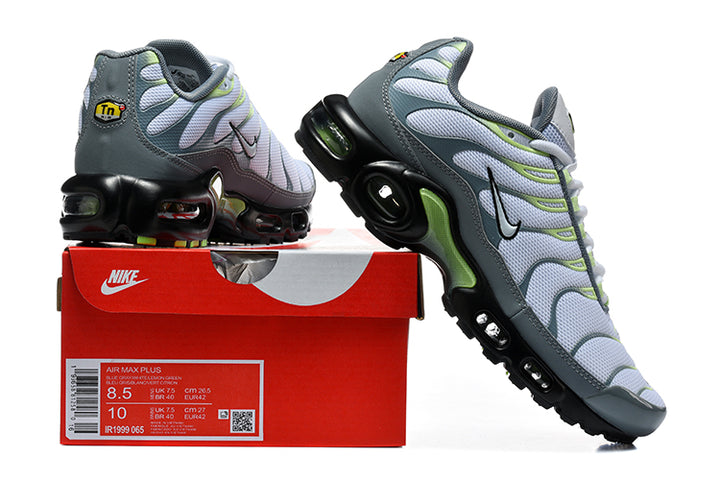 Nike Air Max Plus sneakers in grey, white, green, and black displayed with a shoebox label