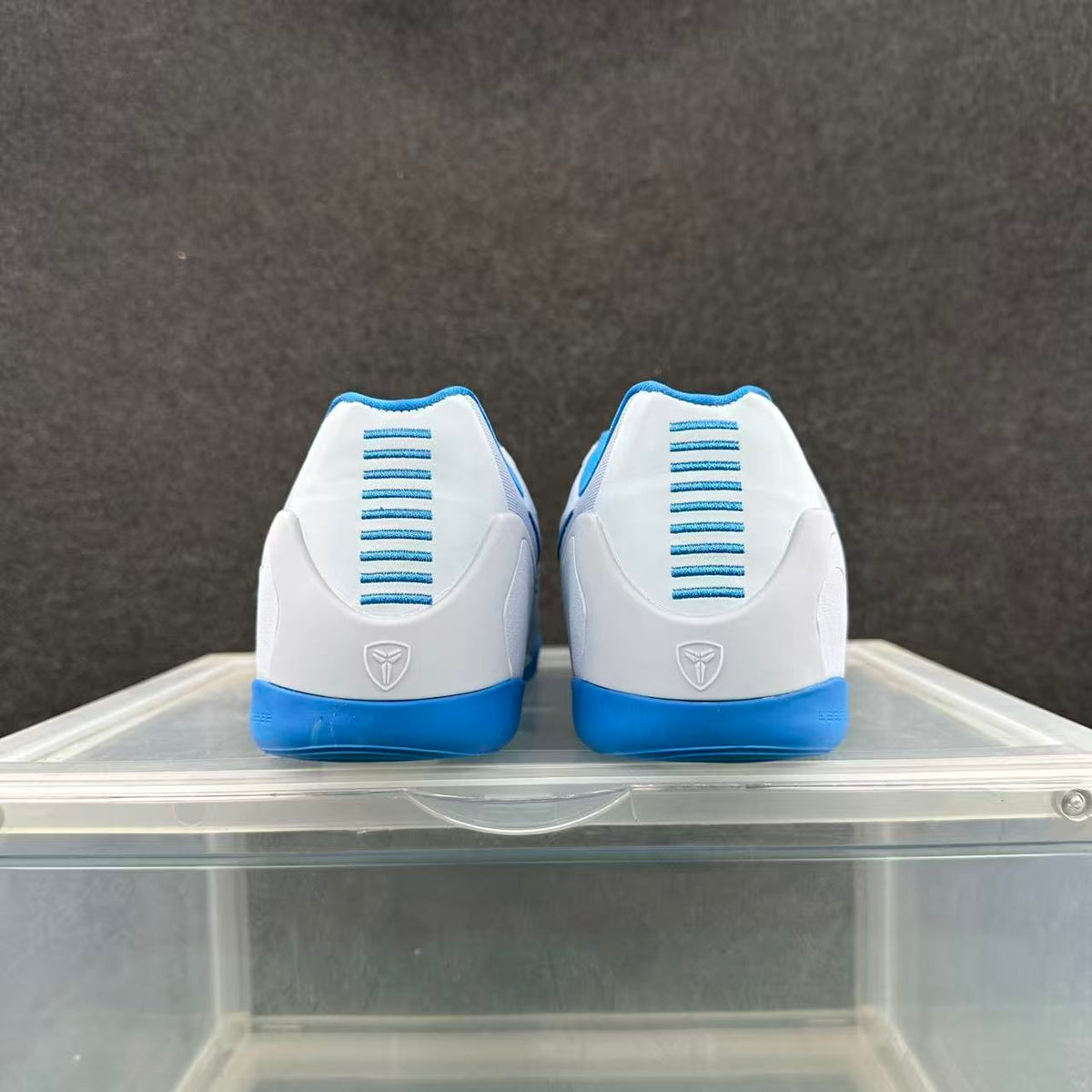 Rear view of the pair showing blue heel accents, vertical heel detailing, and heel emblems.