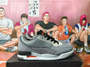 Side view of grey Jordan low-top sneaker with a visible heel Air unit