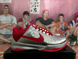 Nike Basketball Sneakers Silver Red