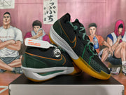 Two Nike basketball shoes shown at an angle, highlighting the green laces, circular side emblem, and orange outsole.