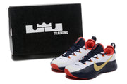 White and navy LeBron TR1 shoes beside a black Training box