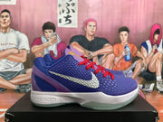 Side view of a purple and blue Nike basketball sneaker showing the metallic silver side logo and visible Nike Zoom text on the white midsole.