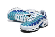 Pair of blue and teal Nike Air Max Plus sneakers viewed from above and at an angle.