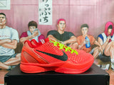 Nike Zoom Basketball Sneakers Red Black