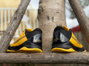 Rear view of the pair, showing black heel panels and signature-style graphics.